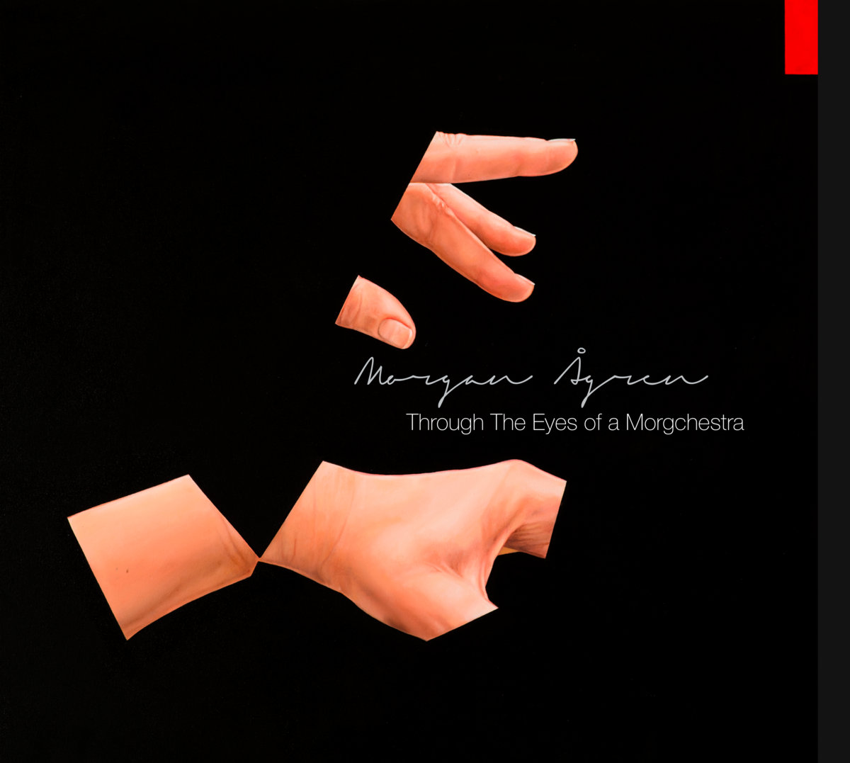 Through The Eyes Of A Morgchestra Morgan Agren