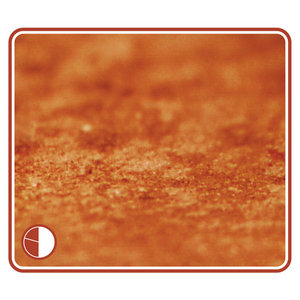 #19 cover
