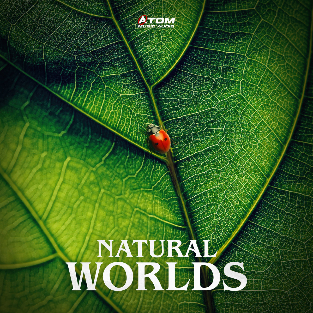 Natural Worlds Atom Music Audio natural-worlds-atom-music-audio