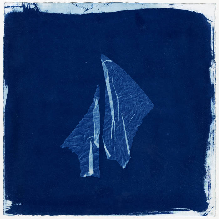 Cyanotype, Fossil Hunting Collective