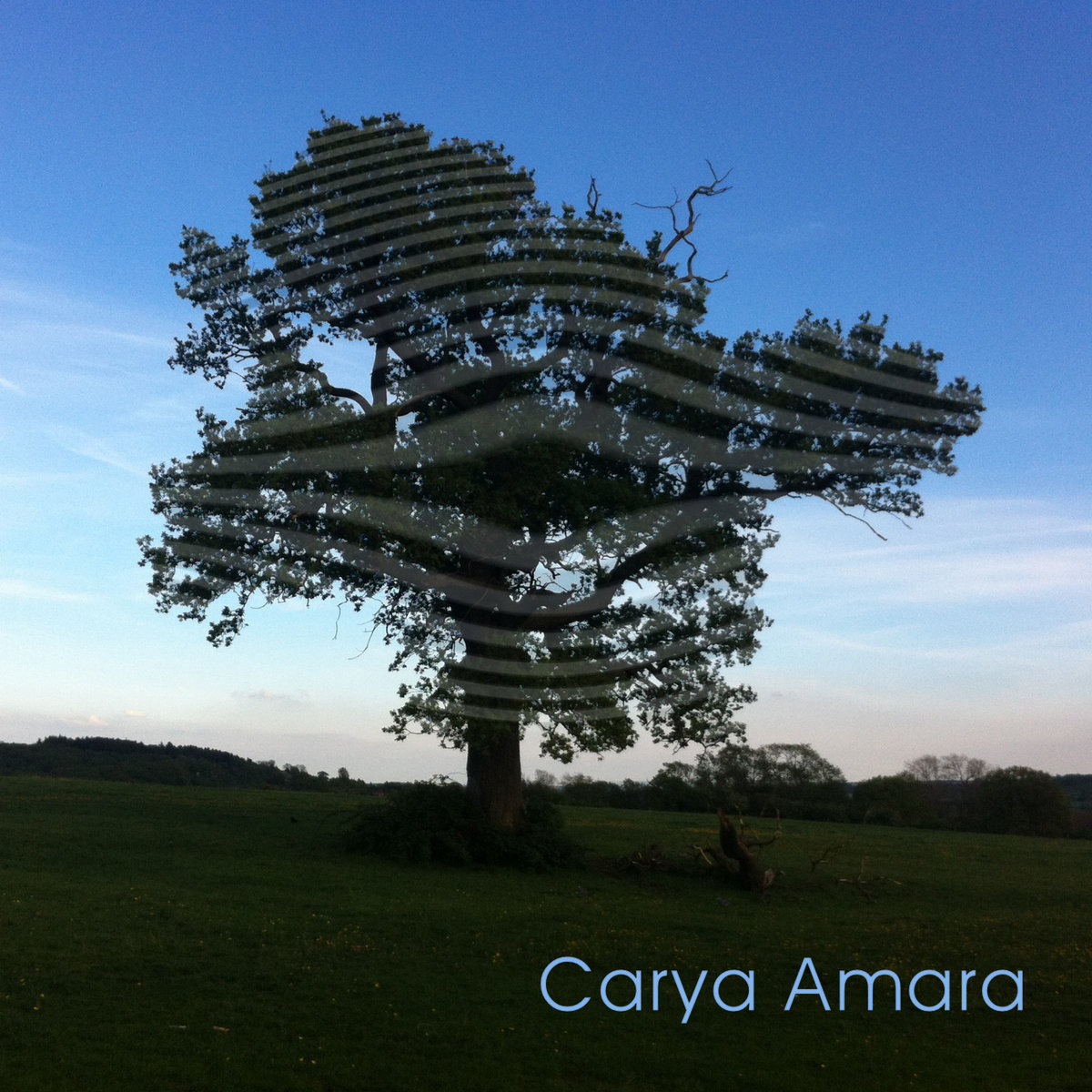 Carya Amara – Another Chance to See