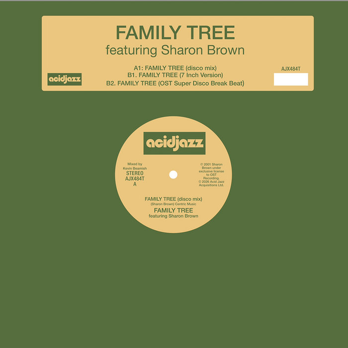 Pochette de Family Tree (12") par Family Tree