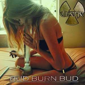 BUD BURN BUD cover