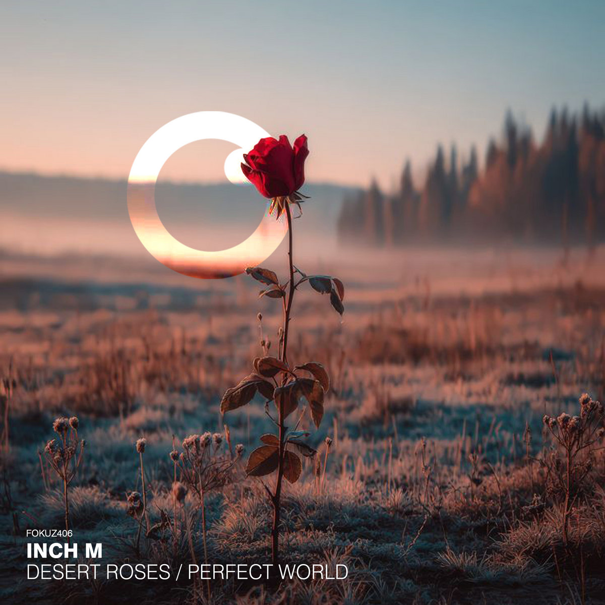 Teardrop EP | Unknown Artists | Fokuz Recordings