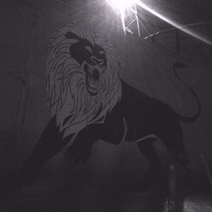LION 7" cover