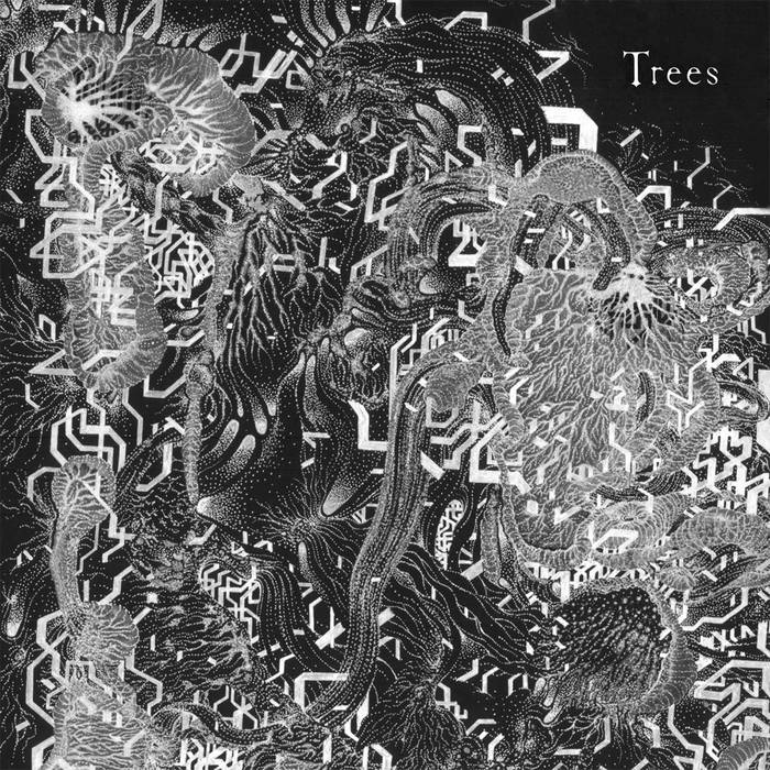 Freed Of This Flesh | TREES | Crucial Blast