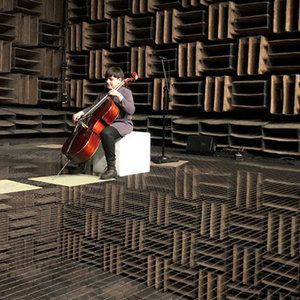anechoic chamber music cover