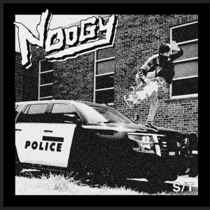 S/T cover