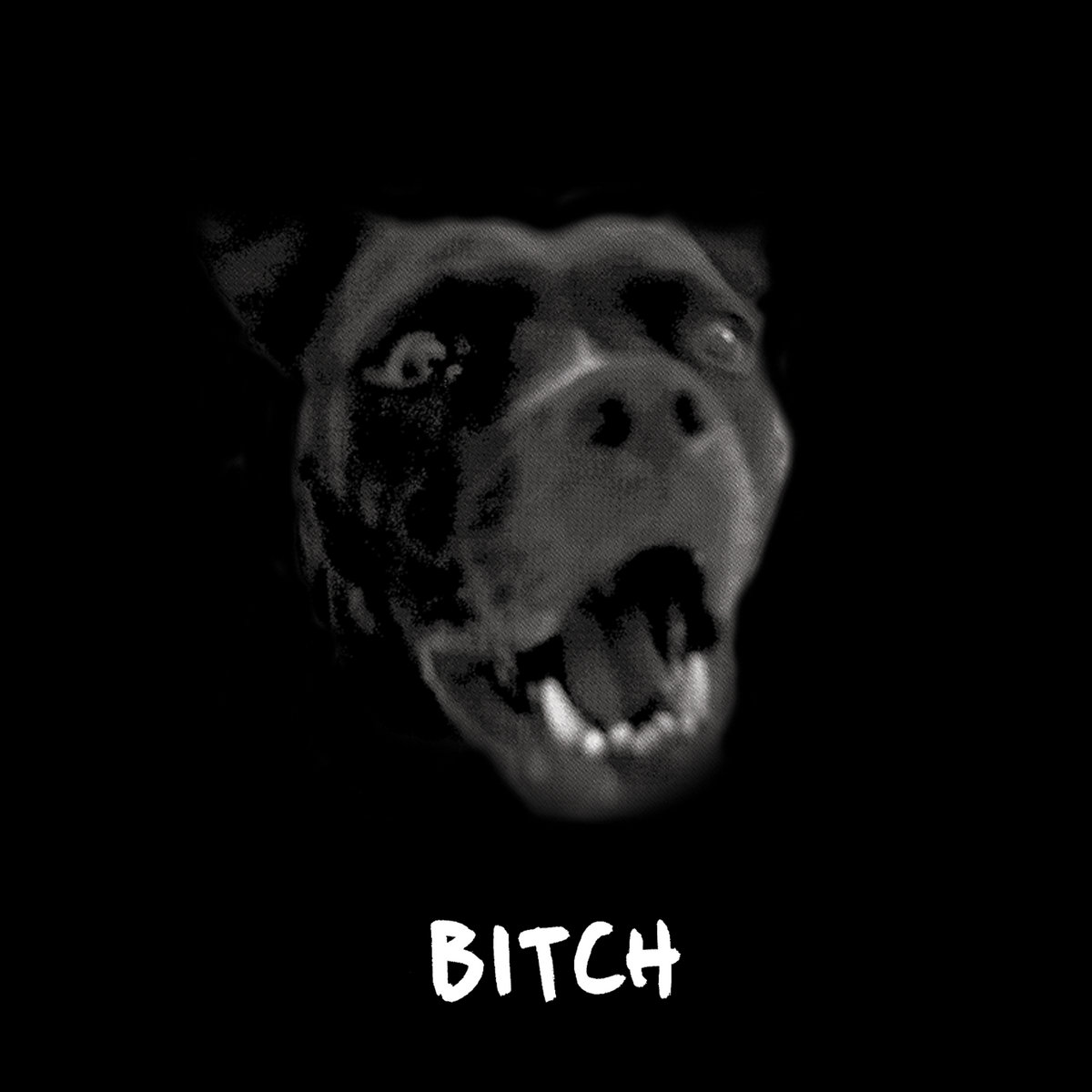 Bitch | Semisoft
