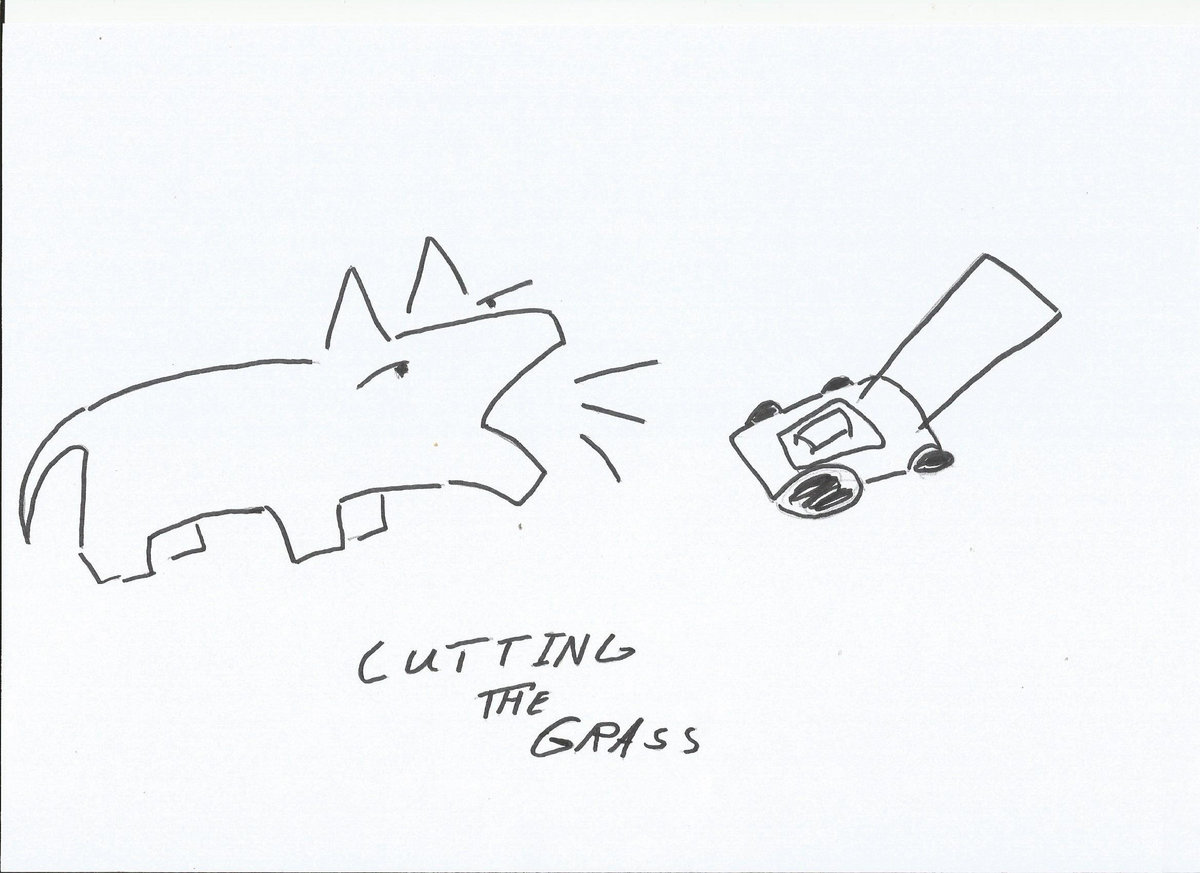 cutting the grass cover