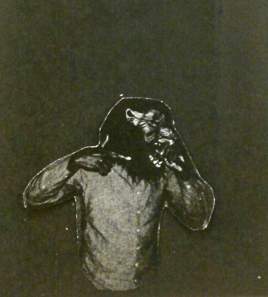 No Health Insurance | The Koreatown Oddity