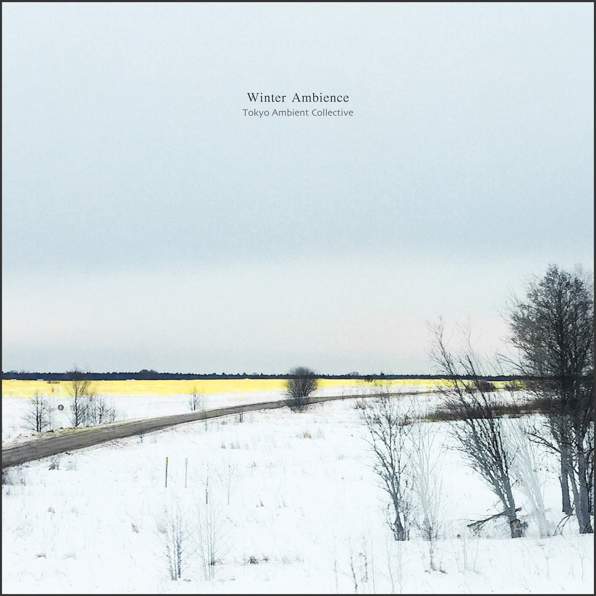 Winter Ambience | Tokyo Ambient Collective | Ricco Label