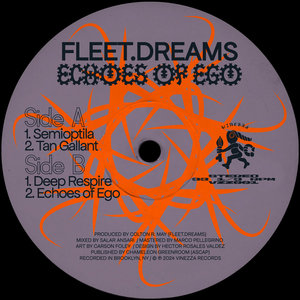 fleet.dreams — Echoes of Ego