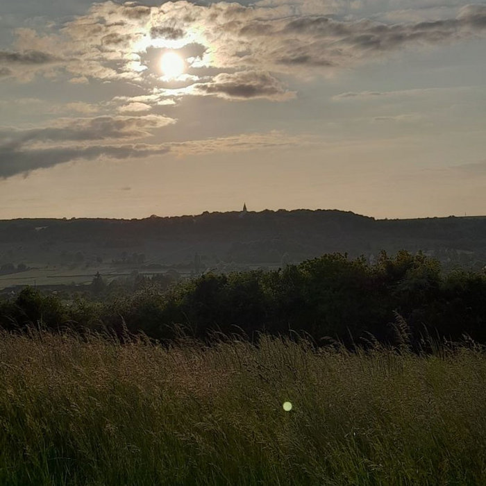 Cerveau Lent Bey Steven