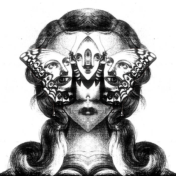 Laxenanchaos – Moth On The Light Source