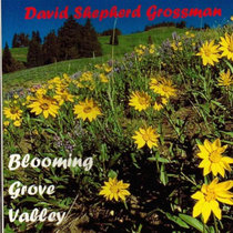 Blooming Grove Valley (full album) 8 Tracks cover art