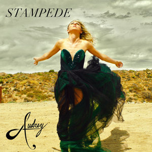 Stampede cover