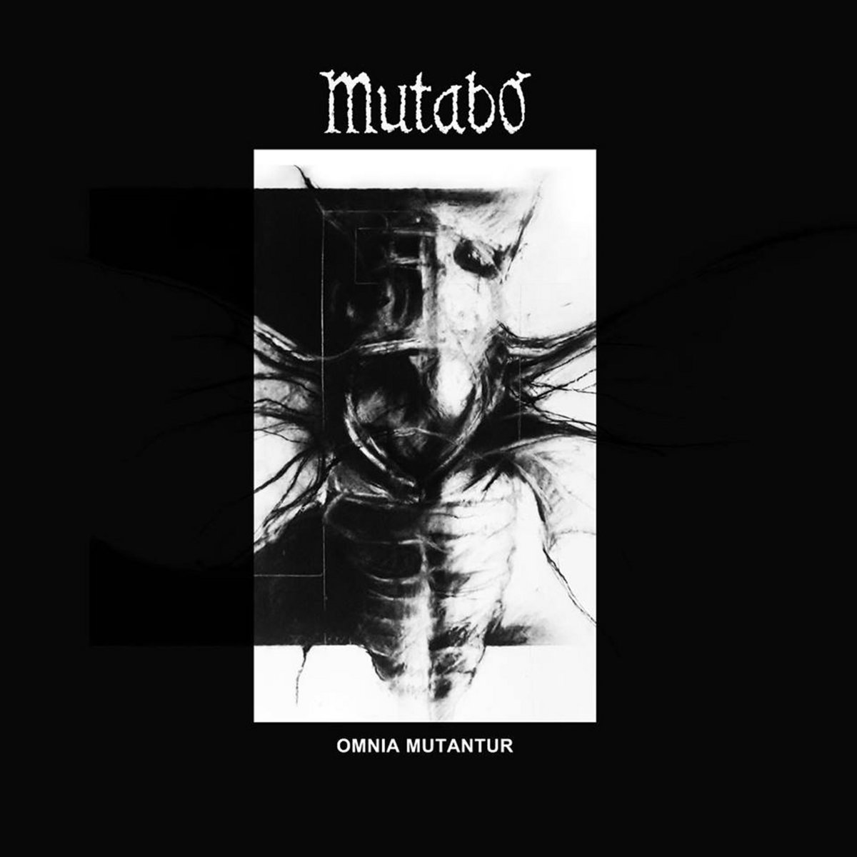 omnia mutantur split LP with Vastation mutabo