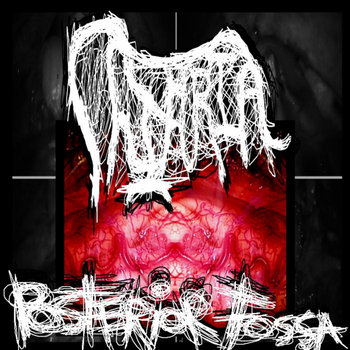Music and merch tagged lymphatic phlegm on Bandcamp