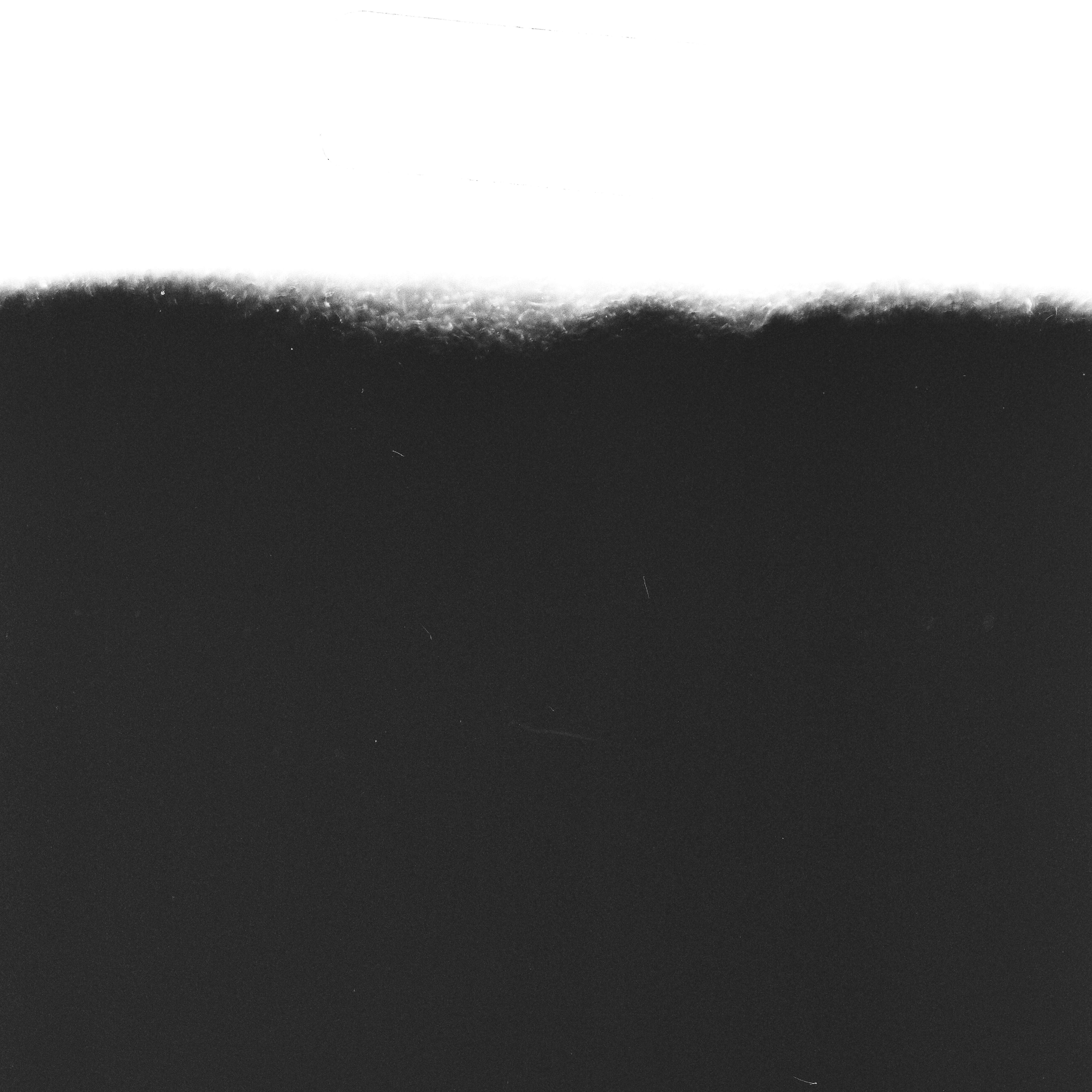 Siavash Amini & Eugene Thacker — Songs for Sad Poets Vol. III