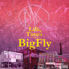 Big Fly