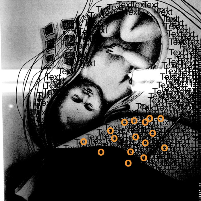 John McPhee's Oranges Iguana