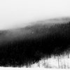 Blizzard