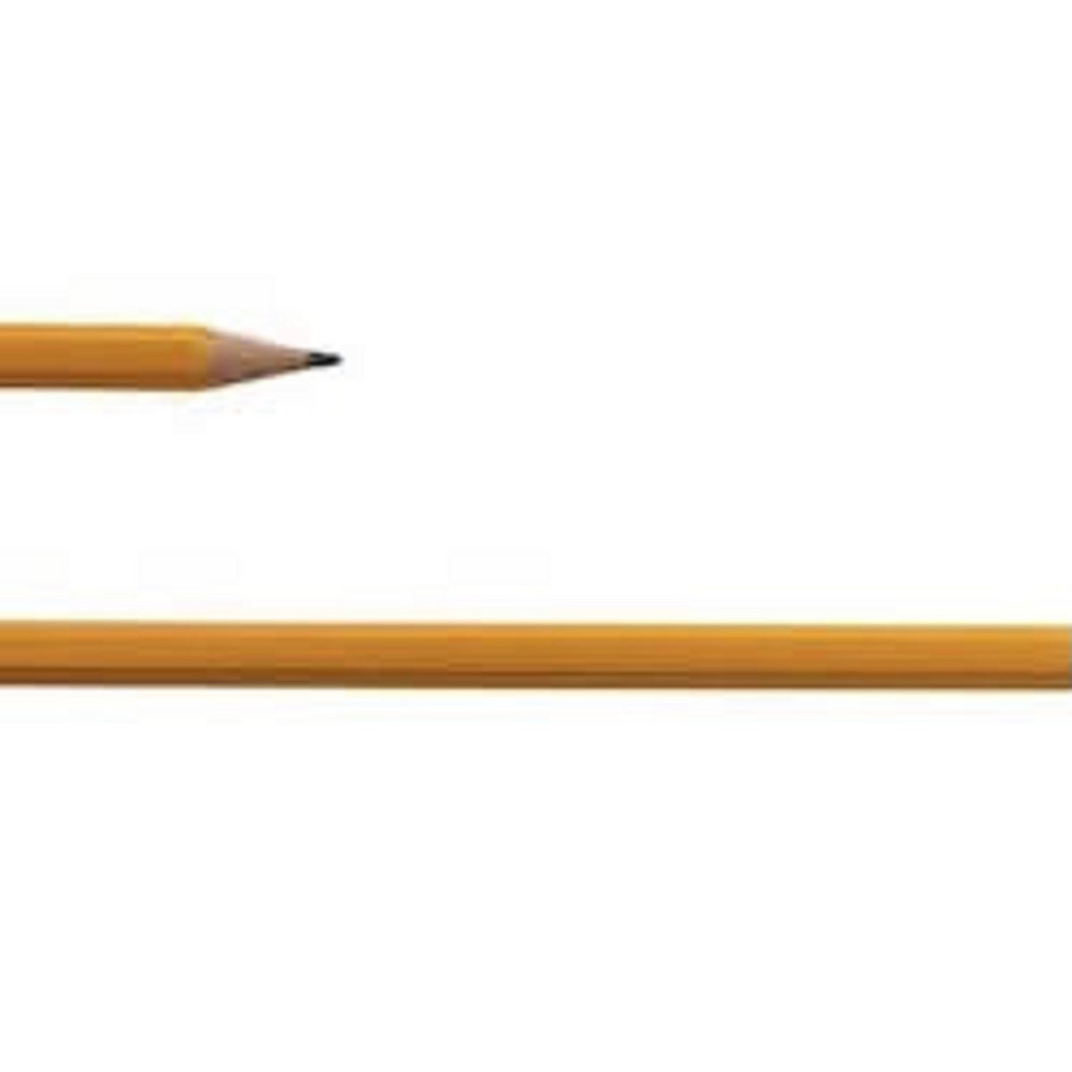 Long | Nick Vasic