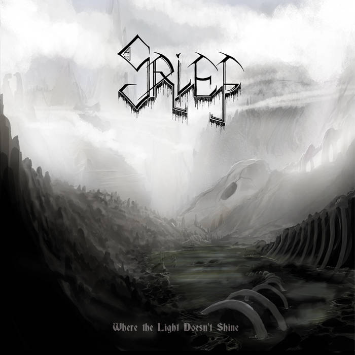 Безысходность лес. Memento mori rhymes of lunacy. Doom metal fog. Тлен деревья. Обложки блэк металл групп.