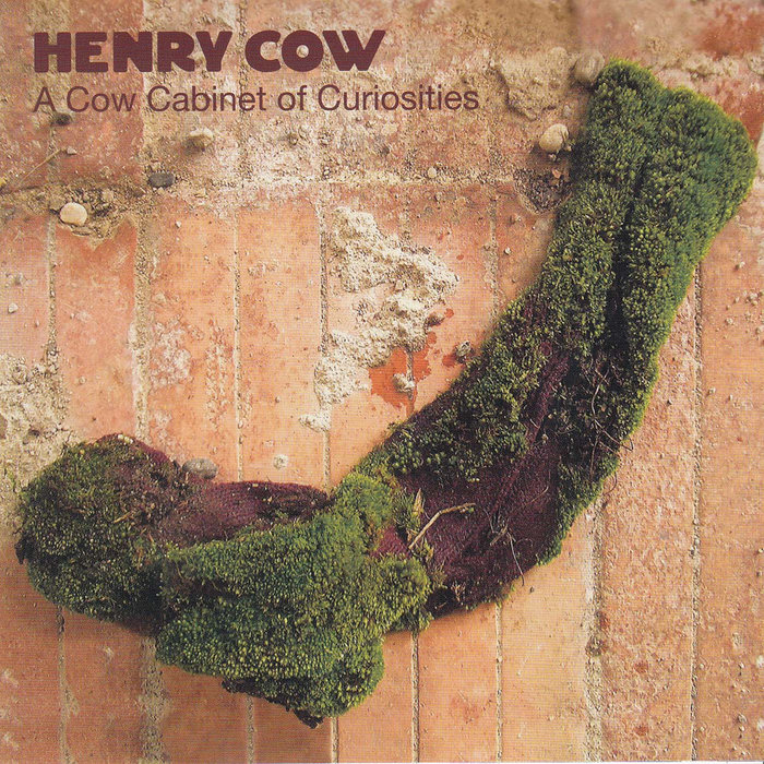 A Cow Cabinet of Curiosities | Henry Cow