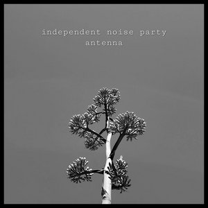 AntennaIndependent Noise Party cover