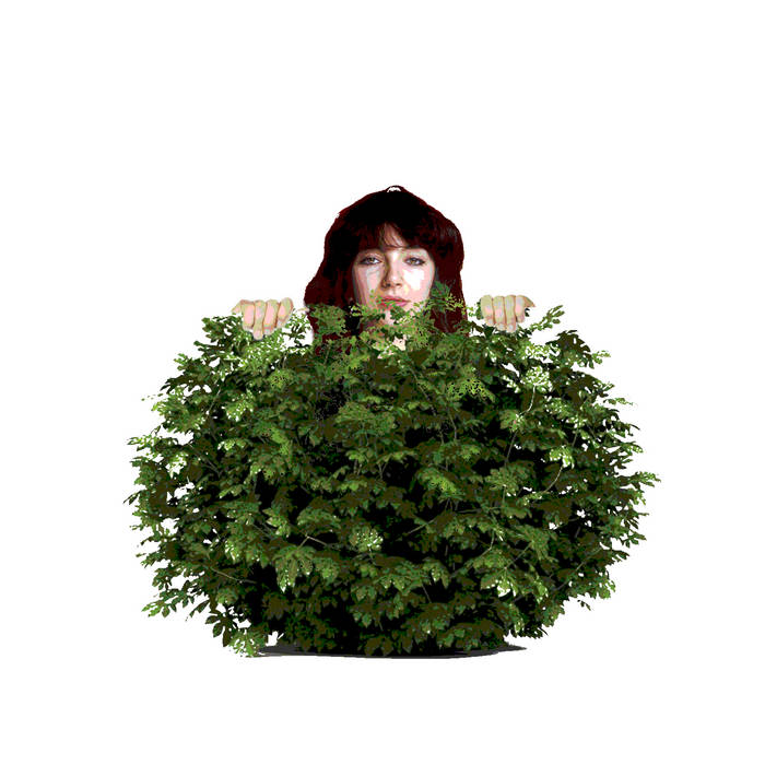 Kate's Bush | Bionic Horse