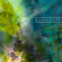 Transient (the original mix) cover art