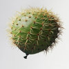 Y'a un Putain de Cactus dans mon Ballon !