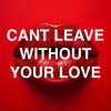Can't Live Without Your Love  (Dim Zach Dub Mix)
