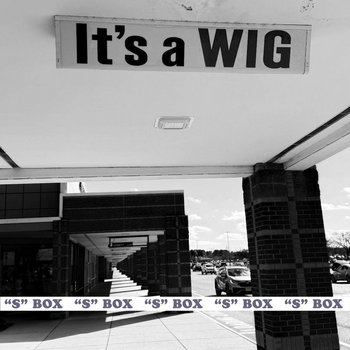 It's a Wig | 