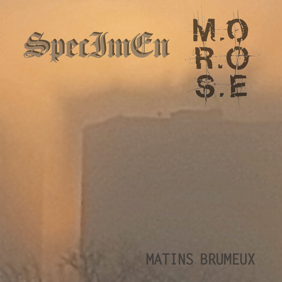 MATINS BRUMEUX M.O.R.O.S.E // SPECIMEN M.O.R.O.S.E