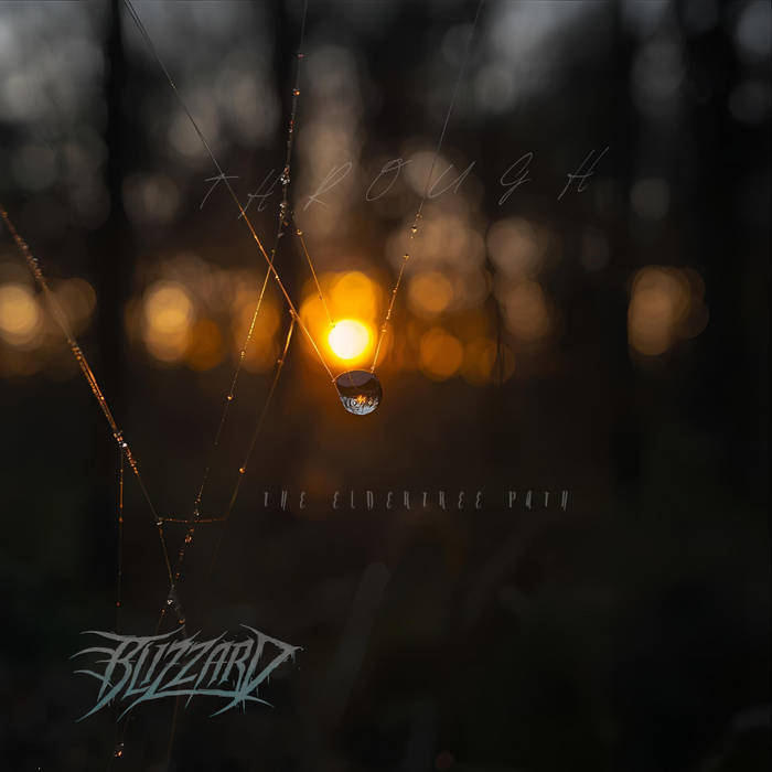 through the eldertree path by Blizzard cover art