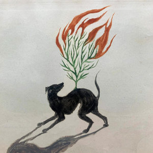 Nightosphere — Foxfire