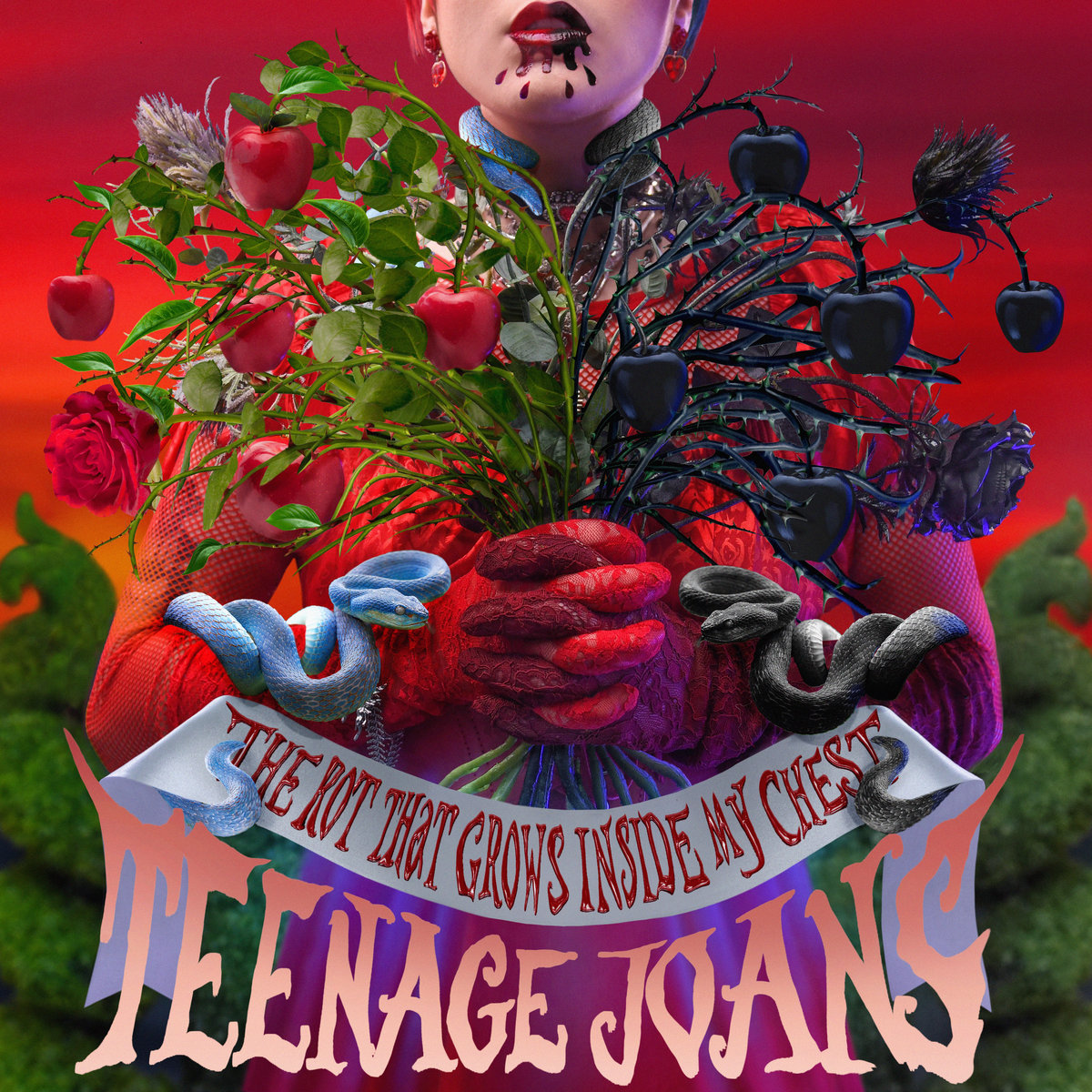 The Rot That Grows Inside My Chest by Teenage Joans