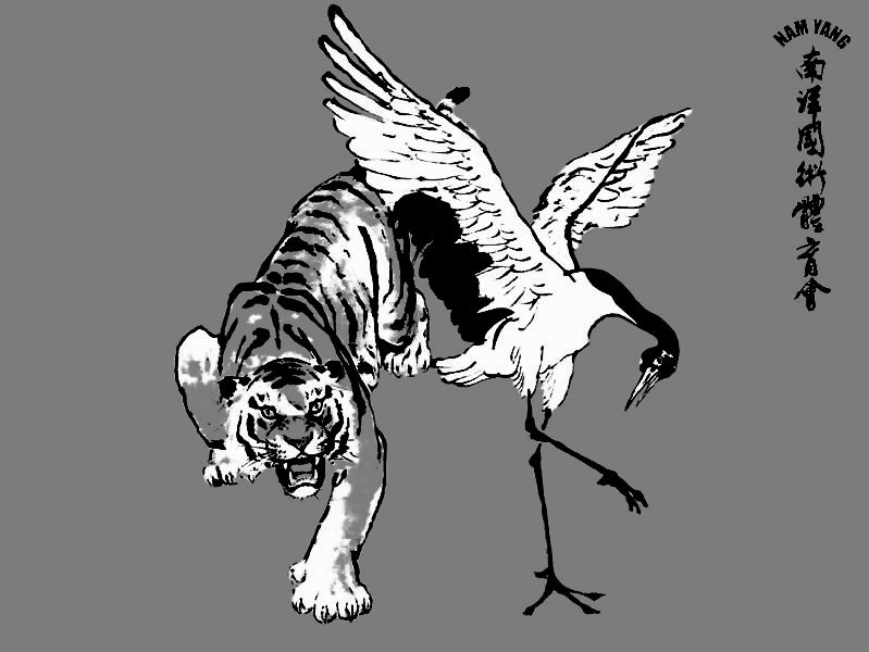 tiger and crane | latin heat
