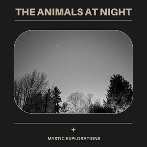 Mystic Explorations cover
