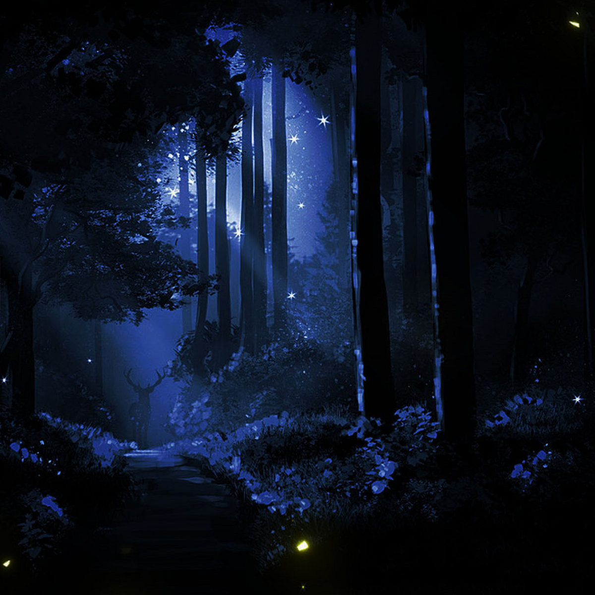 Forest Atmosphere Calm Night Og Sound Fx