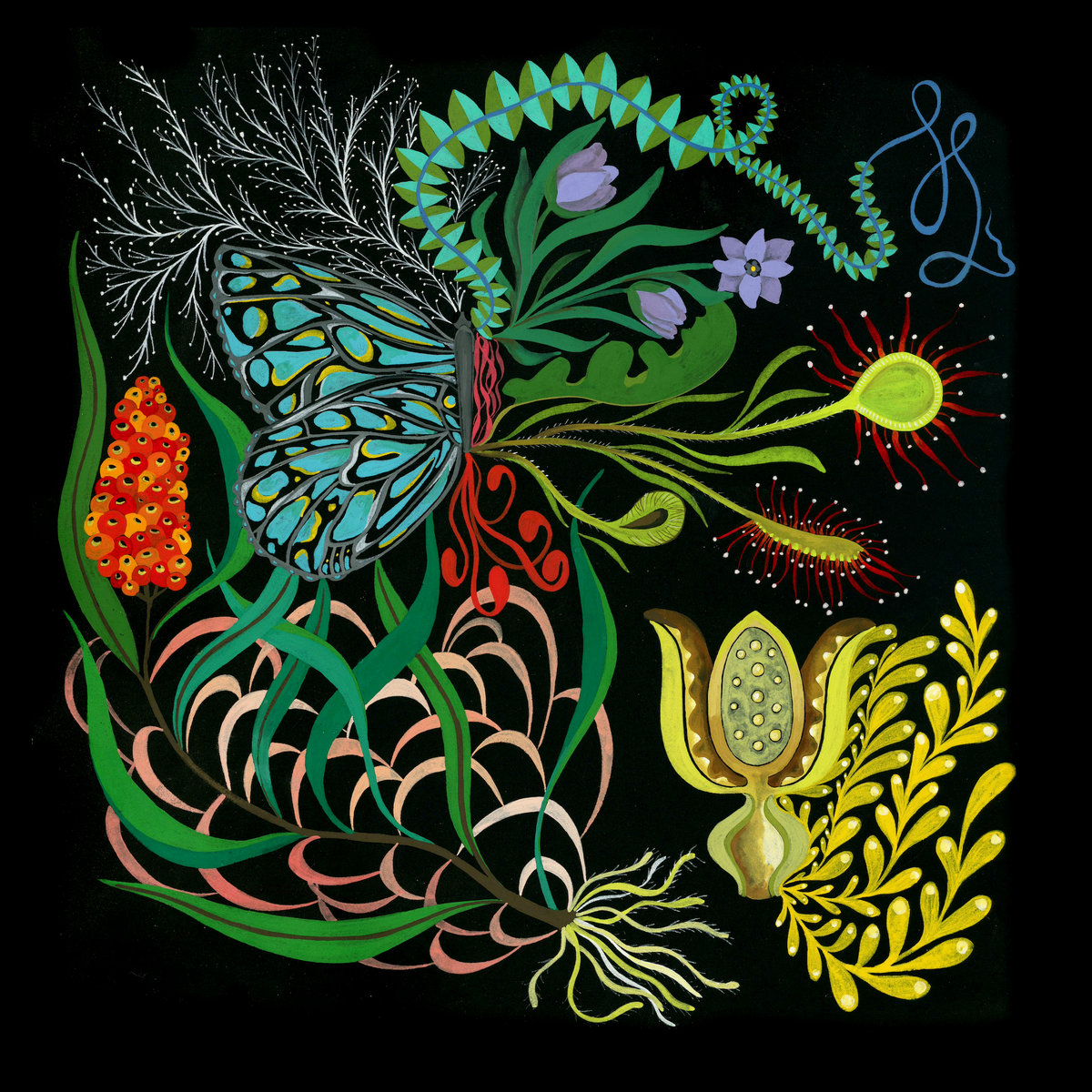 Imaginal Discs Julianna Bright