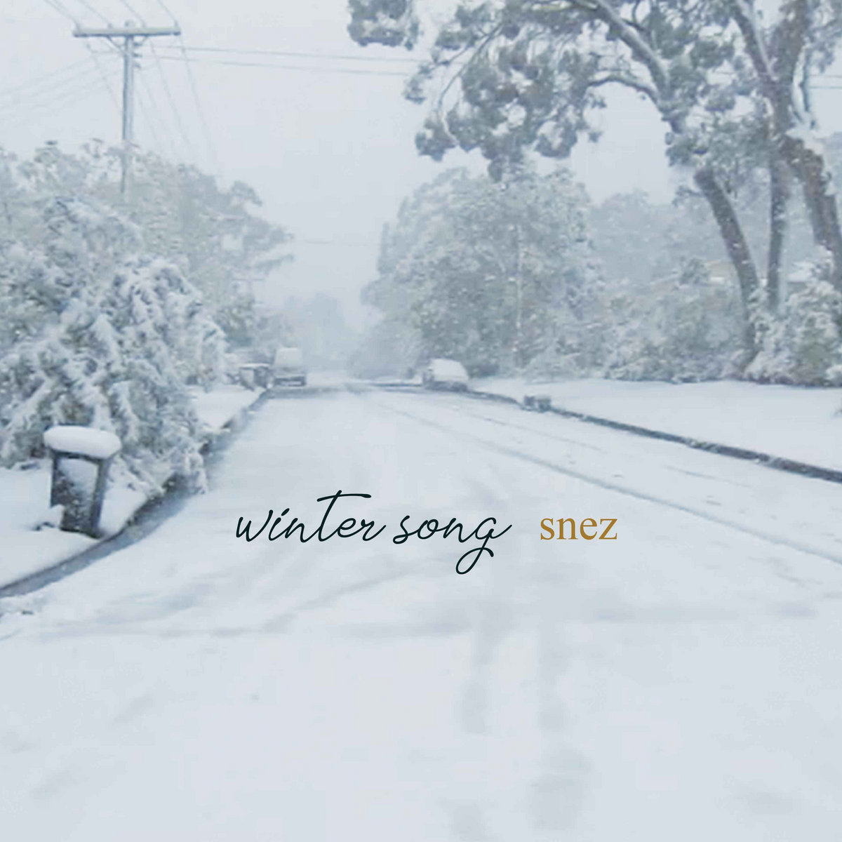 Download Winter Song Snez