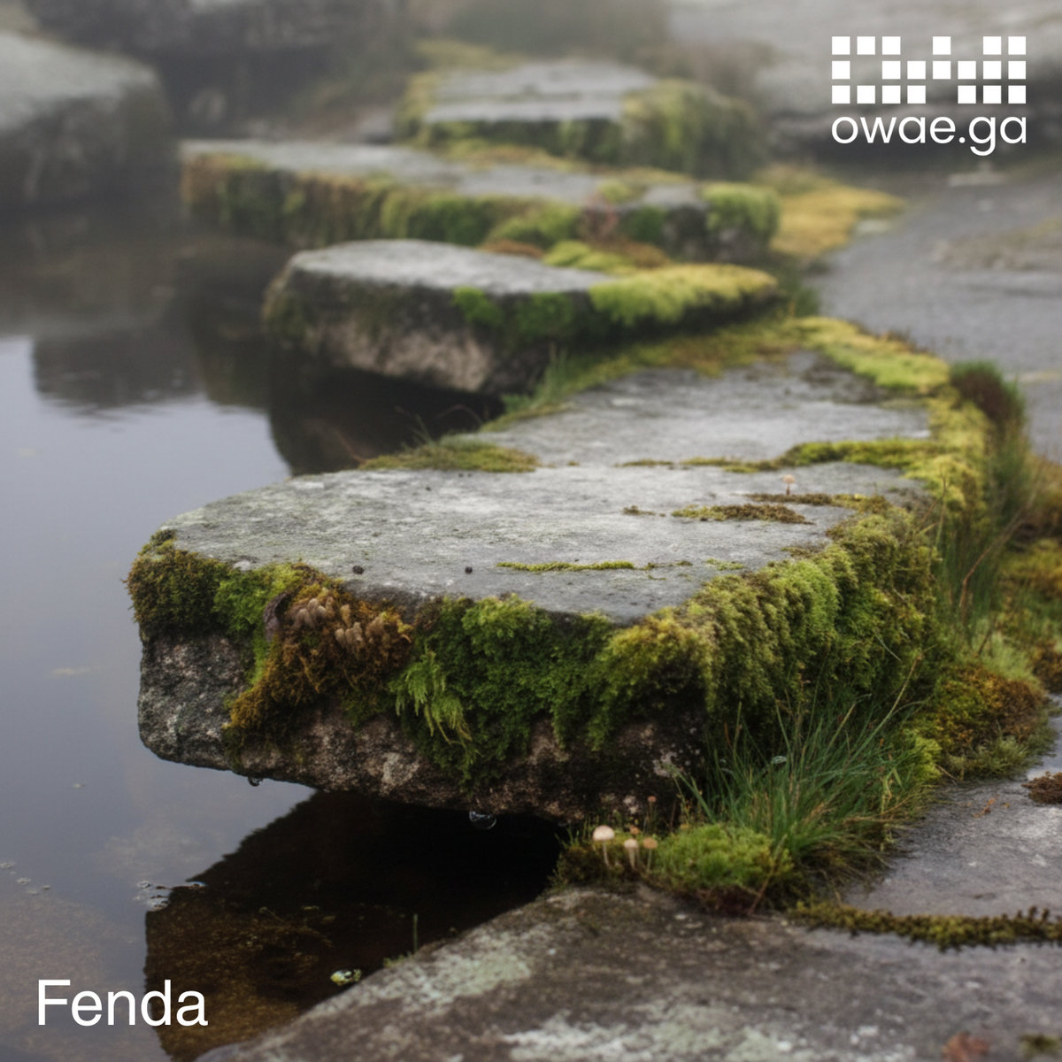 Fenda — cover