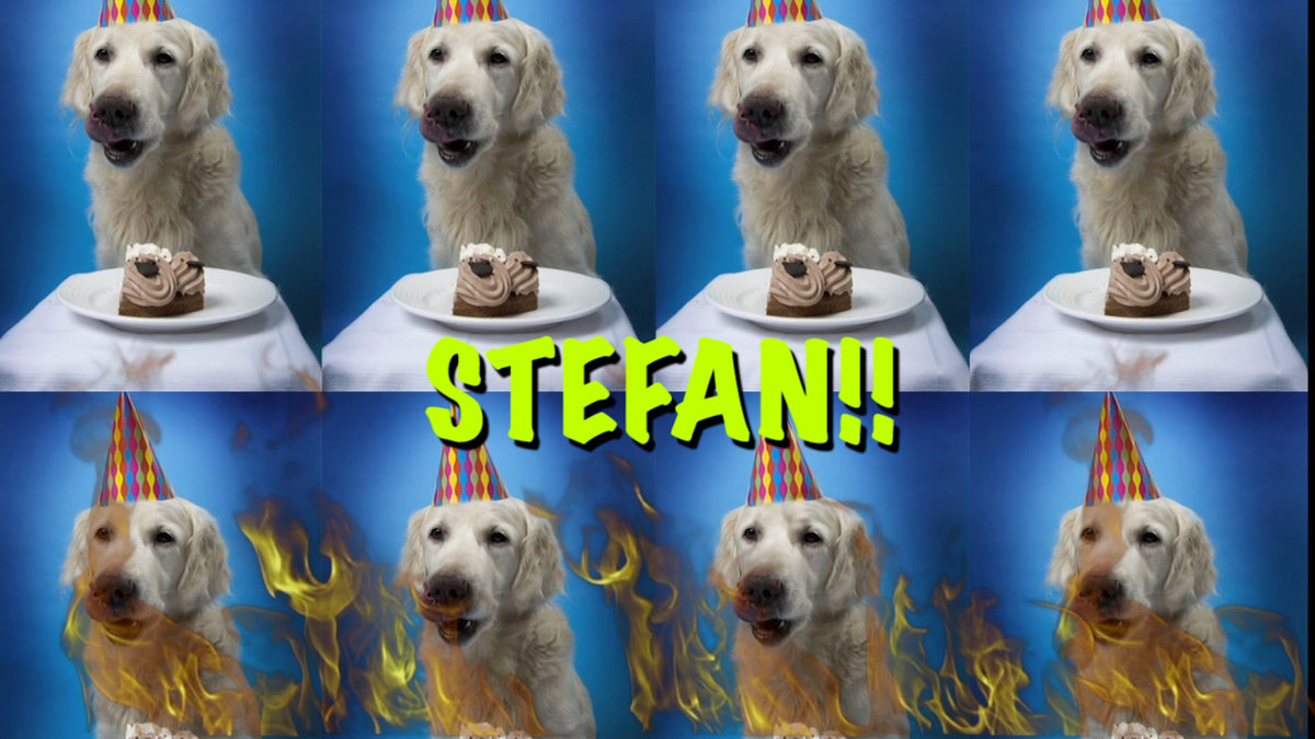 HAPPY BIRTHDAY STEFAN! | Epic Happy Birthdays