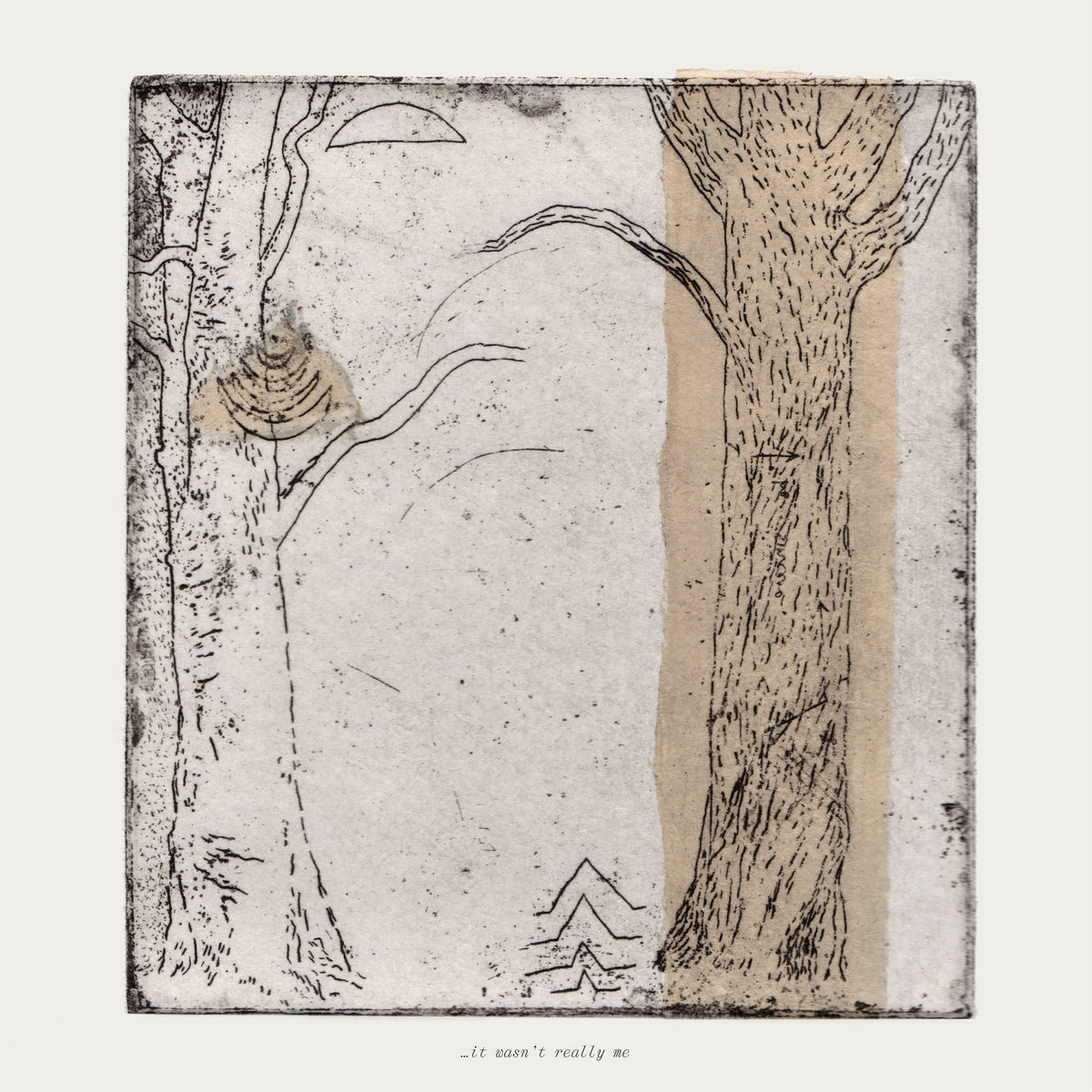 it wasn't really me. | Various Artists | Knekelhuis