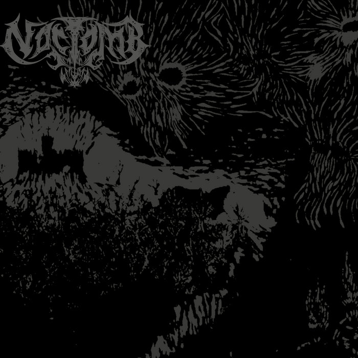 Noctomb | Noctomb