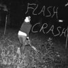 FLASH CRASH Cover Art